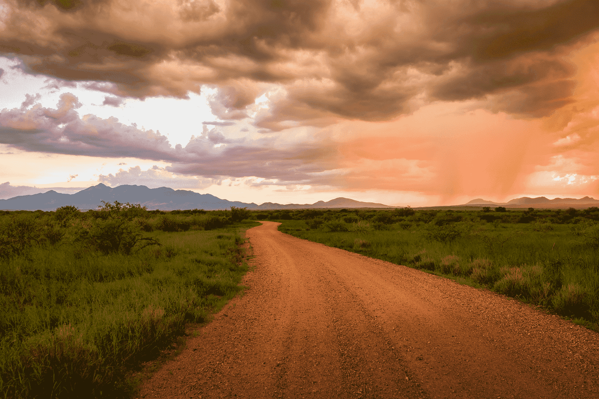 Dirt road with greenery and a beautiful cloudy sky