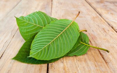 What Can I Expect From Kratom Withdrawal? A Recovery Timeline