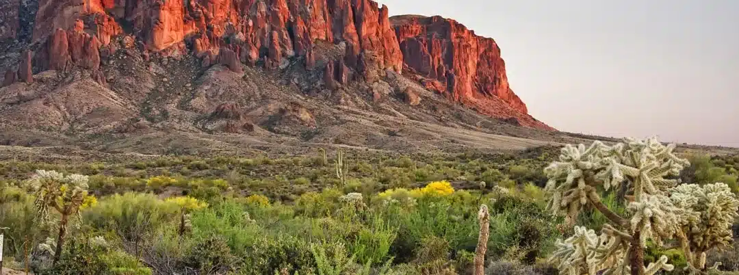Beautiful Surroundings in the Arizona Landscape