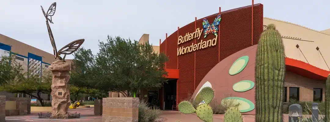 Butterfly Wonderland - Sober activities in Arizona