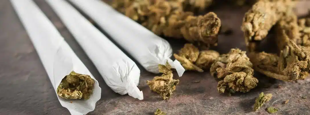 flue cured tobacco Southern Dolly (Flue Cured) Tobacco – HOSS