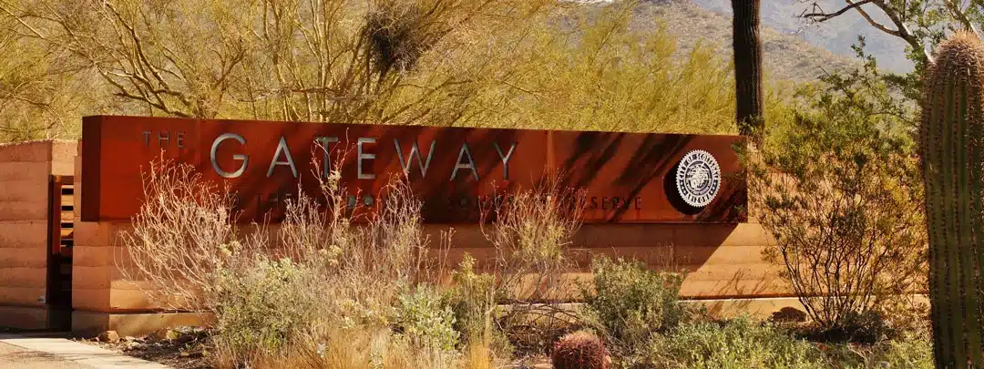 Sober Activities to Enjoy in Yuma