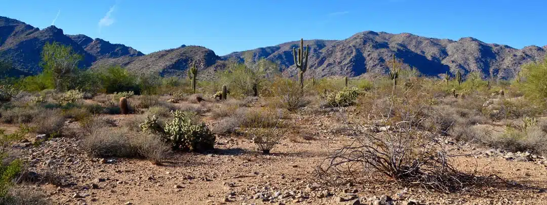 White Tank Mountains