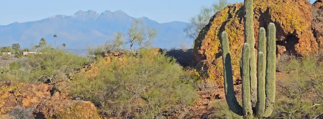 Sober Activities in Fountain Hills