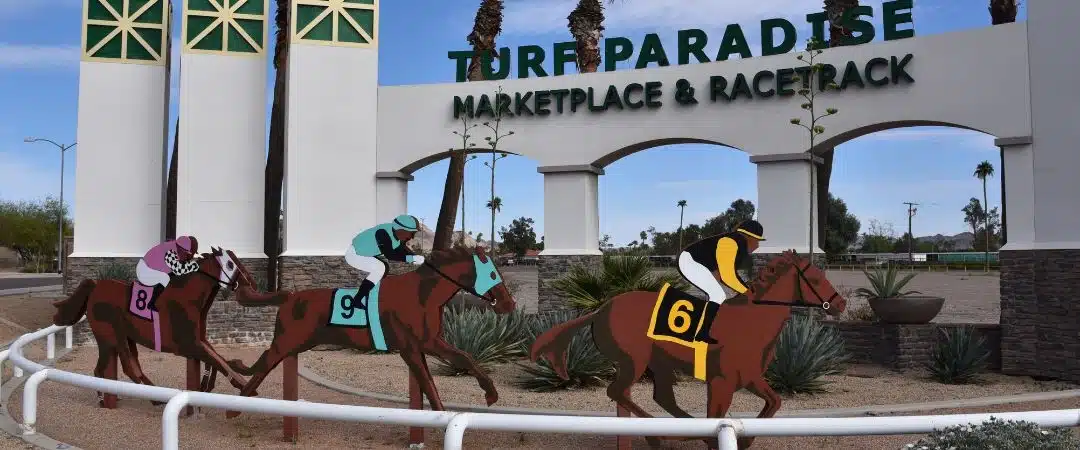 NA Meetings at Deer Valley - Turf Paradise Race Course