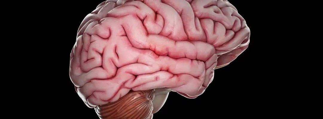 How Long Does It Take to Develop Wet Brain