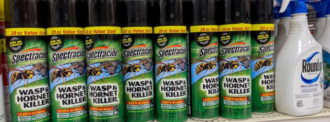 Why Do People Abuse Wasp Spray - Purpose Healing Center