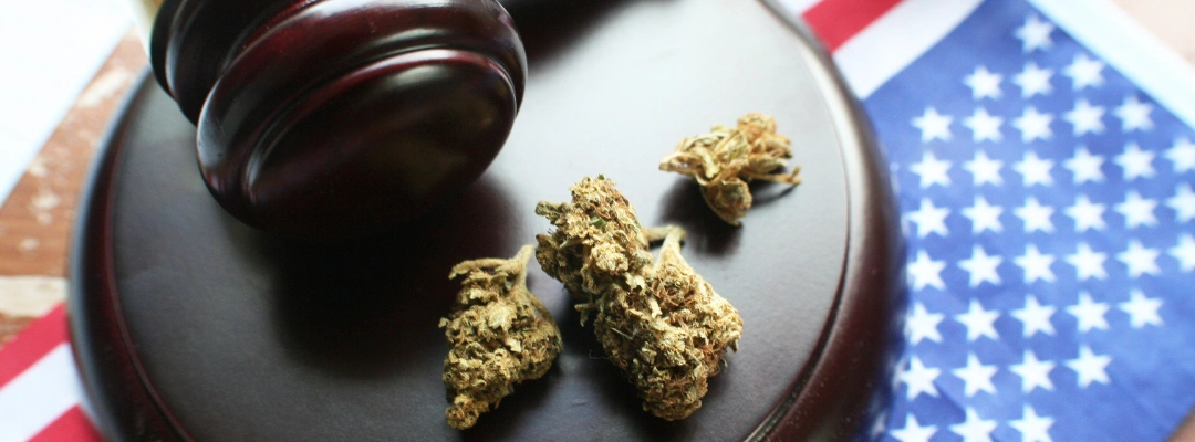 Image of Legal marijuana regulations in Arizona showing cannabis products and a gavel symbolizing state law enforcement