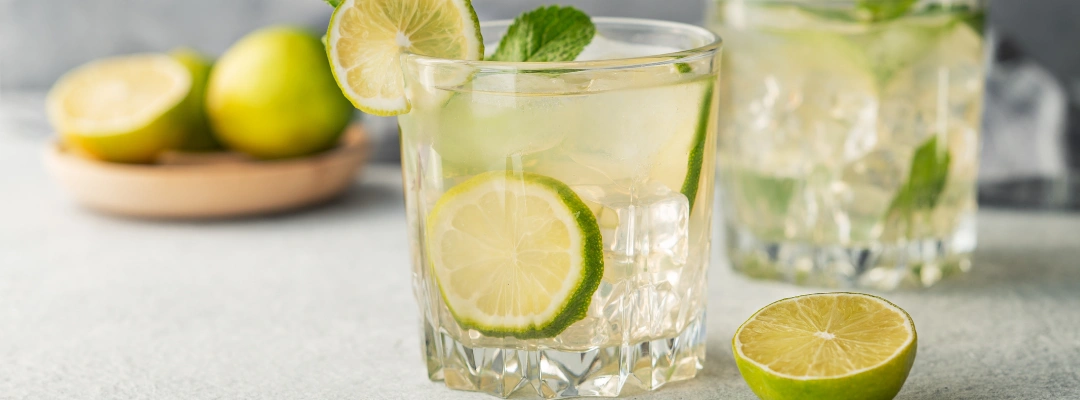 Image of a refreshing glass of sparkling water with lemon and lime, representing a healthy alcohol-free alternative for social settings